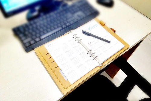 十六种不予加收滞纳金情形全汇集